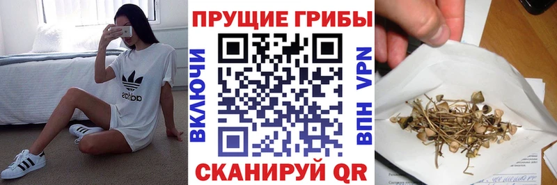 Псилоцибиновые грибы мицелий Полтавская